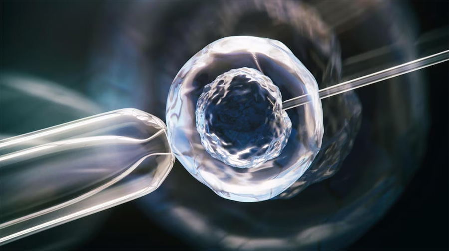 spermatozoid-neplodnost